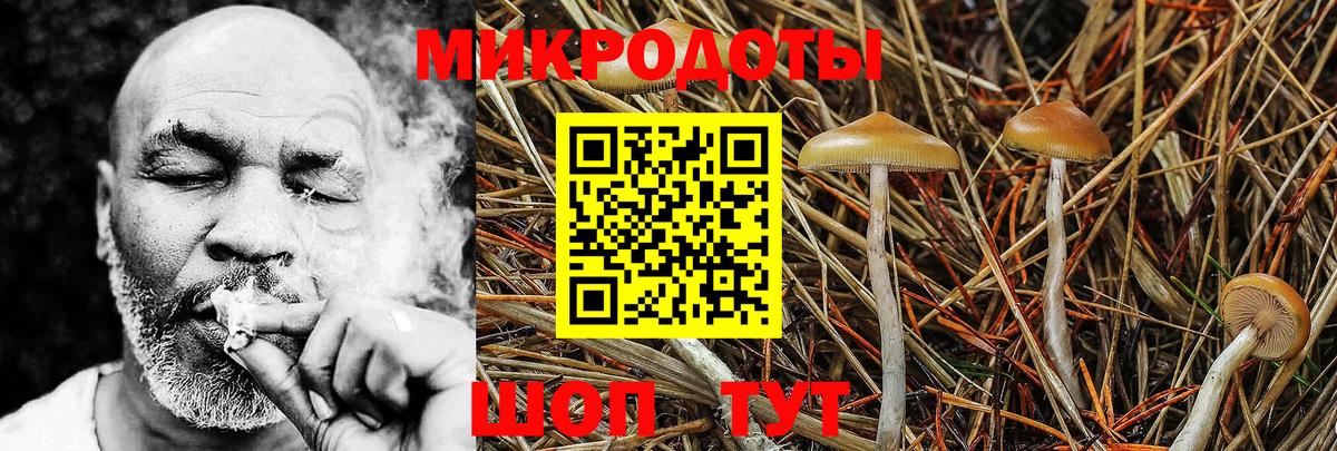 Псилоцибиновые грибы Magic Shrooms  Галлюциногенные грибы Psilocybine cubensis  Вход с VPN  Александров 